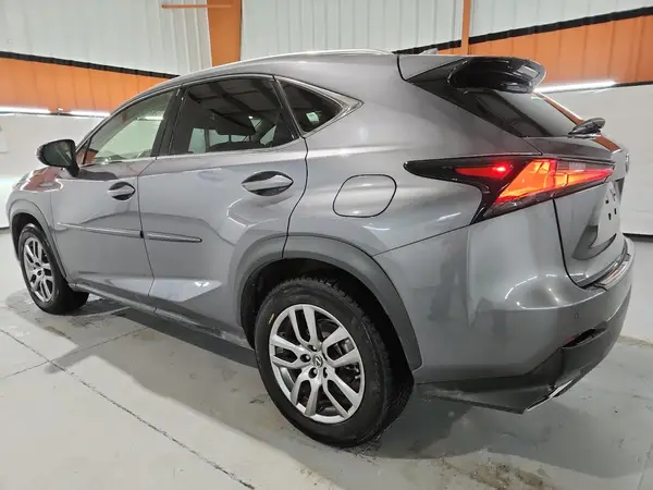 JTJBARBZ4K2210630 2019 LEXUS NX - Image 2