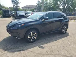 JTJBARBZ4K2211003 2019 LEXUS NX