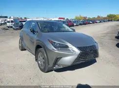 JTJBARBZ4K2212118 2019 LEXUS NX