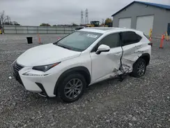 JTJBARBZ4K2215620 2019 LEXUS NX