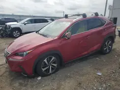 JTJBARBZ4K2216119 2019 LEXUS NX