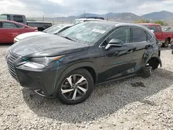 JTJBARBZ5K2181882 2019 LEXUS NX
