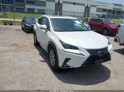 JTJBARBZ5K2182871 2019 LEXUS NX