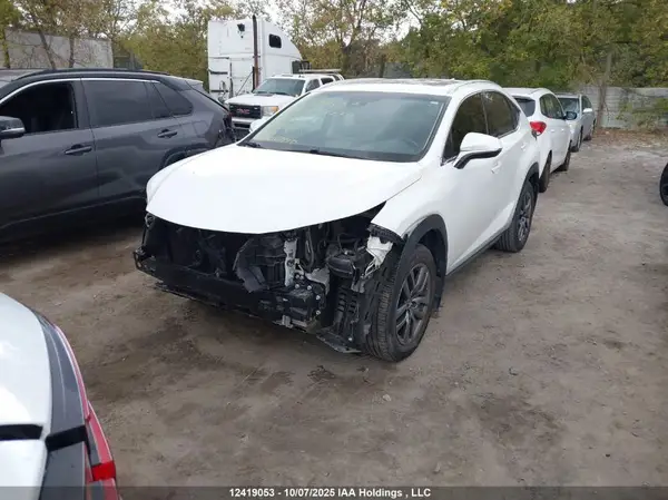 JTJBARBZ5K2183020 2019 LEXUS NX - Image 2