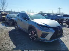JTJBARBZ5K2188959 2019 LEXUS NX