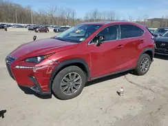 JTJBARBZ5K2189772 2019 LEXUS NX