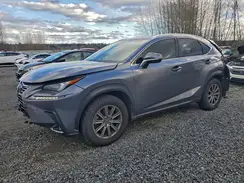 JTJBARBZ5K2190968 2019 LEXUS NX