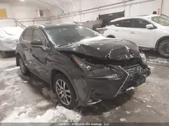 JTJBARBZ5K2197466 2019 LEXUS NX