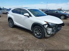 JTJBARBZ5K2206621 2019 LEXUS NX