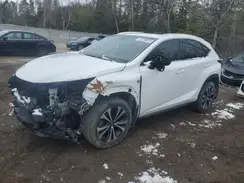 JTJBARBZ5K2208451 2019 LEXUS NX