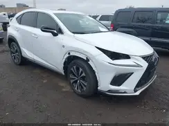JTJBARBZ5K2209874 2019 LEXUS NX