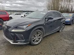 JTJBARBZ5K2210734 2019 LEXUS NX