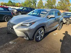 JTJBARBZ5K2214248 2019 LEXUS NX