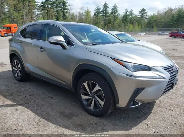 JTJBARBZ5K2216789 2019 LEXUS NX - Image 1