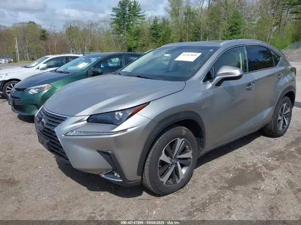 JTJBARBZ5K2216789 2019 LEXUS NX - Image 2