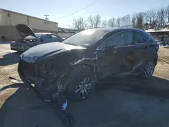 JTJBARBZ6G2059278 2016 LEXUS NX