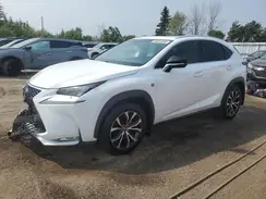 JTJBARBZ6G2077957 2016 LEXUS NX