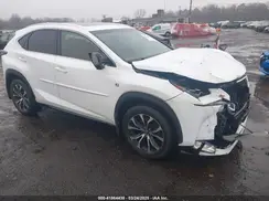 JTJBARBZ6H2099507 2017 LEXUS NX