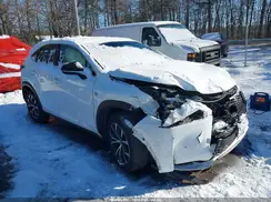 JTJBARBZ6H2138404 2017 LEXUS NX