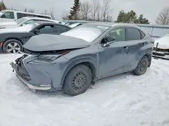 JTJBARBZ6H2145482 2017 LEXUS NX