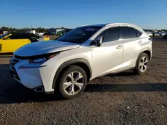 JTJBARBZ6H2145711 2017 LEXUS NX