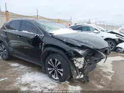 JTJBARBZ6K2181891 2019 LEXUS NX