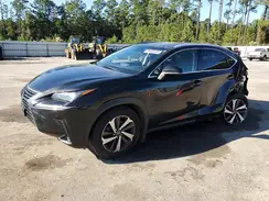 JTJBARBZ6K2187576 2019 LEXUS NX