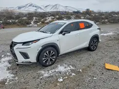 JTJBARBZ6K2189781 2019 LEXUS NX