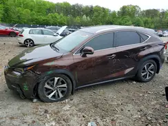 JTJBARBZ6K2191403 2019 LEXUS NX