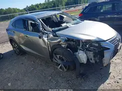 JTJBARBZ6K2192499 2019 LEXUS NX