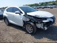 JTJBARBZ6K2197265 2019 LEXUS NX