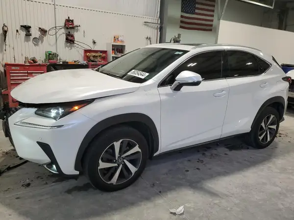 JTJBARBZ6K2201072 2019 LEXUS NX - Image 1