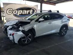 JTJBARBZ6K2207406 2019 LEXUS NX