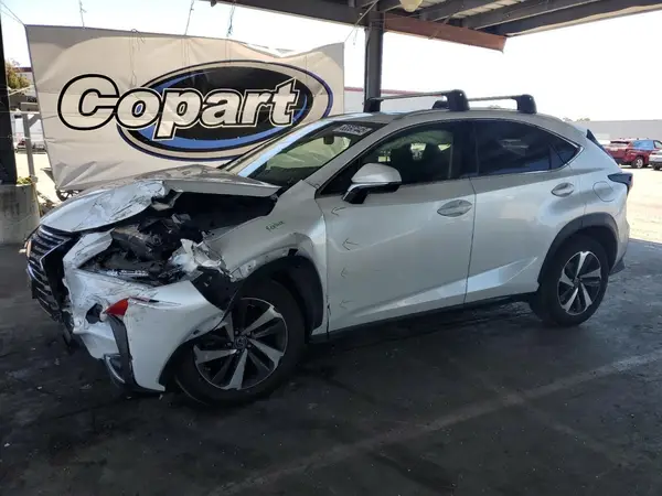 JTJBARBZ6K2207406 2019 LEXUS NX - Image 1