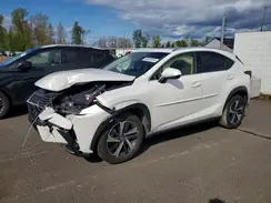 JTJBARBZ6K2215246 2019 LEXUS NX