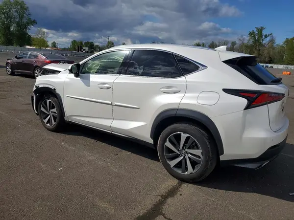 JTJBARBZ6K2215246 2019 LEXUS NX - Image 2