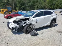 JTJBARBZ6K2216736 2019 LEXUS NX