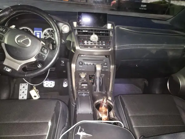 JTJBARBZ7G2046779 2016 LEXUS NX - Image 8
