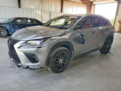 JTJBARBZ7K2181012 2019 LEXUS NX