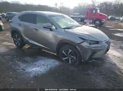 JTJBARBZ7K2189353 2019 LEXUS NX