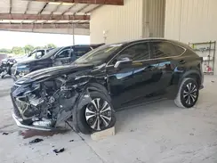JTJBARBZ7K2190339 2019 LEXUS NX