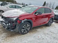 JTJBARBZ7K2191653 2019 LEXUS NX
