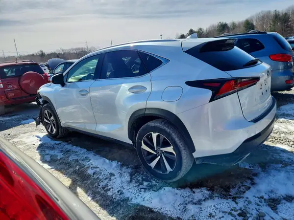 JTJBARBZ7K2199235 2019 LEXUS NX - Image 2