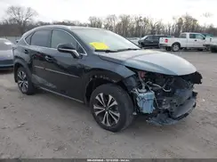 JTJBARBZ7K2200335 2019 LEXUS NX