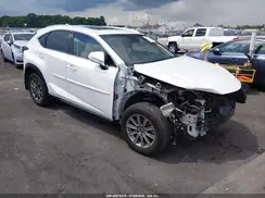 JTJBARBZ7K2202375 2019 LEXUS NX