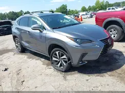 JTJBARBZ7K2202960 2019 LEXUS NX