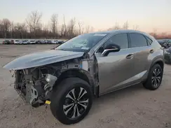 JTJBARBZ7K2203946 2019 LEXUS NX