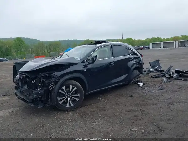 JTJBARBZ7K2205471 2019 LEXUS NX - Image 2
