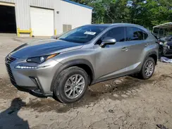 JTJBARBZ7K2207799 2019 LEXUS NX