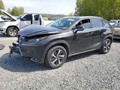 JTJBARBZ7K2212775 2019 LEXUS NX